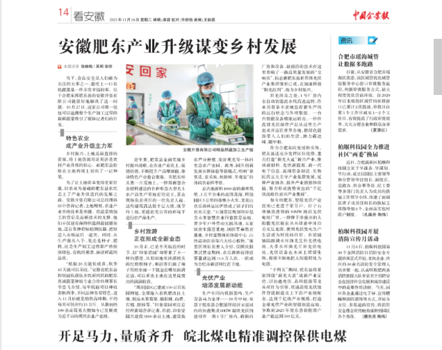 无码少妇高潮喷水A片免费