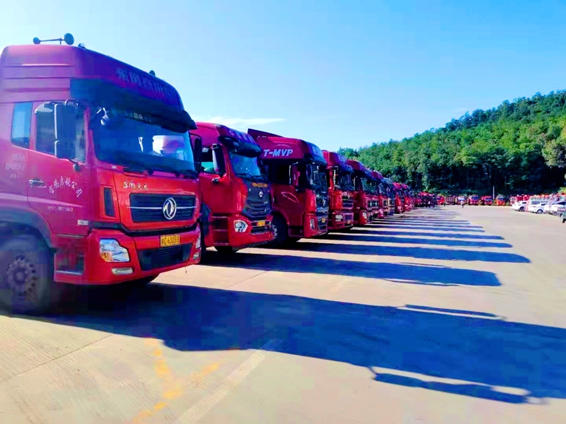 无码少妇高潮喷水A片免费