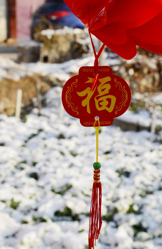 无码少妇高潮喷水A片免费