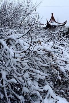 无码少妇高潮喷水A片免费