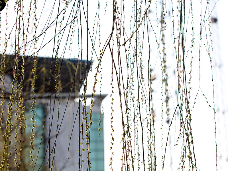 无码少妇高潮喷水A片免费