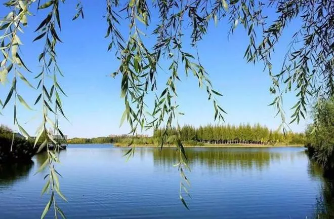 无码少妇高潮喷水A片免费