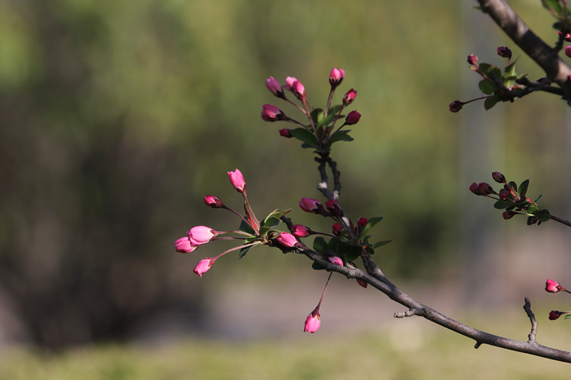 无码少妇高潮喷水A片免费
