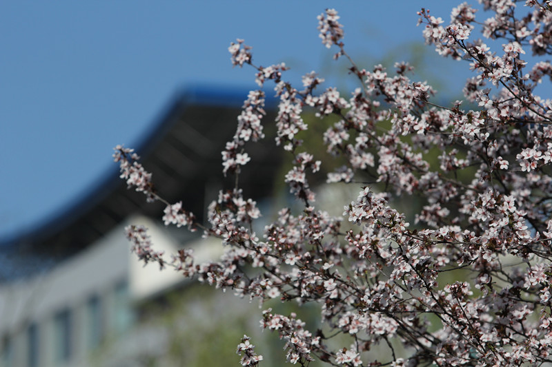 无码少妇高潮喷水A片免费