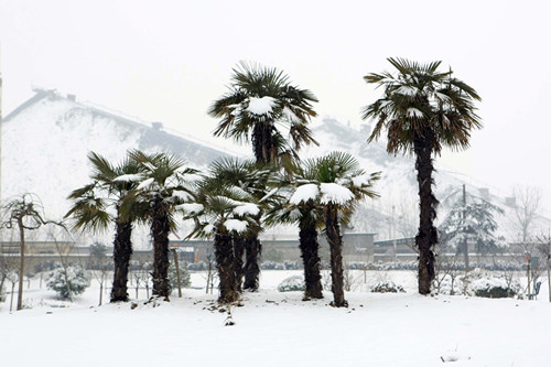 无码少妇高潮喷水A片免费