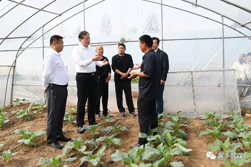 无码少妇高潮喷水A片免费