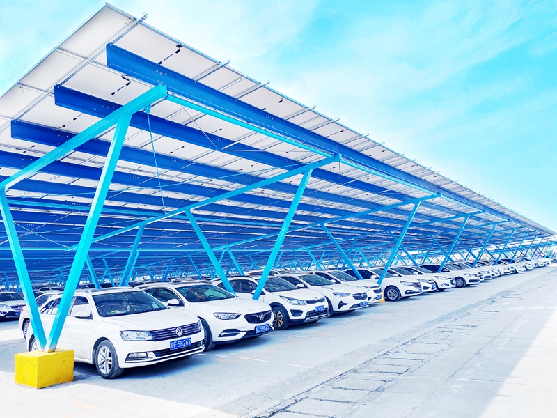 无码少妇高潮喷水A片免费