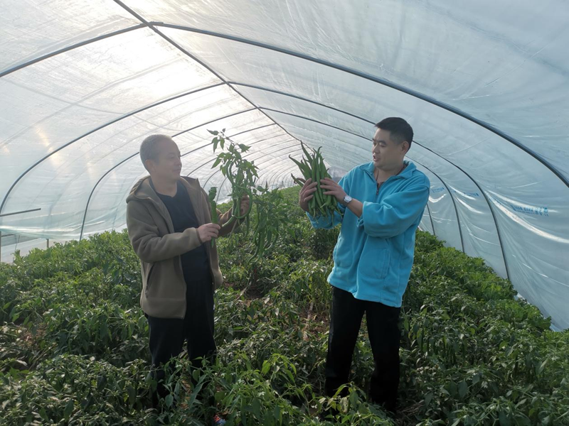 无码少妇高潮喷水A片免费