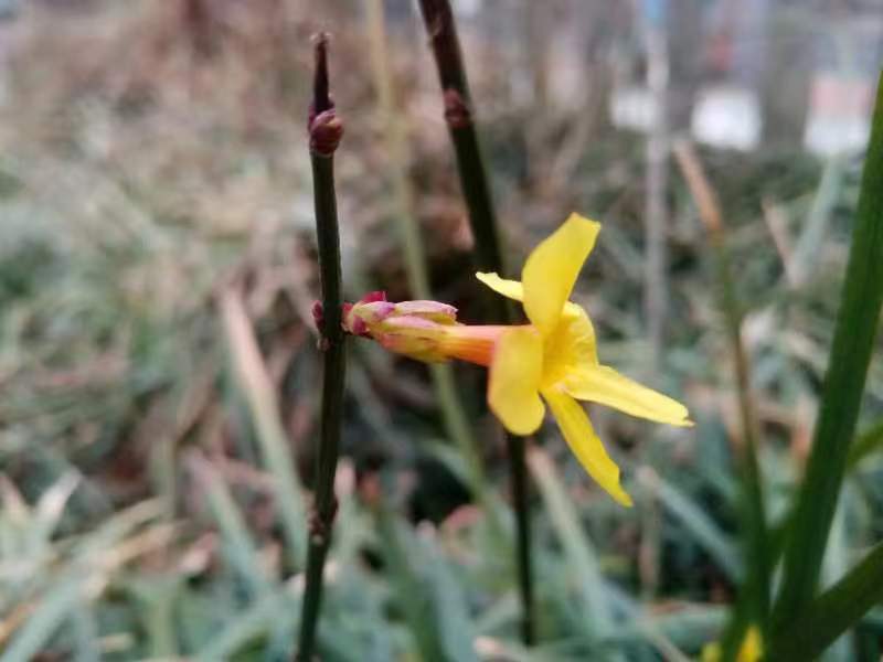 无码少妇高潮喷水A片免费