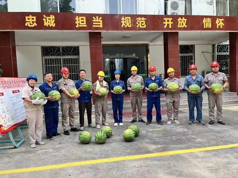 无码少妇高潮喷水A片免费