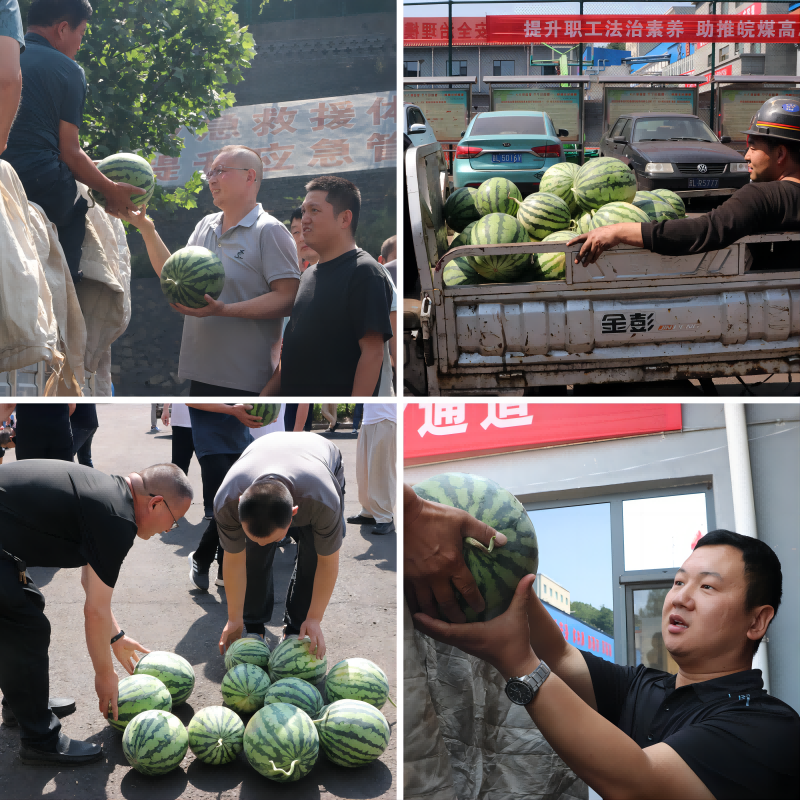 无码少妇高潮喷水A片免费