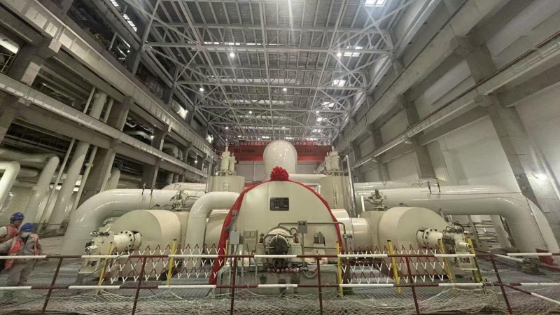 无码少妇高潮喷水A片免费