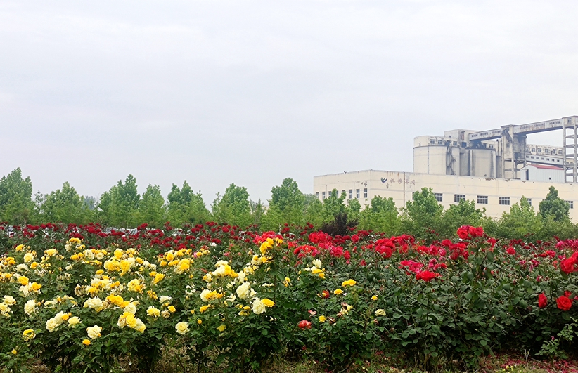 无码少妇高潮喷水A片免费