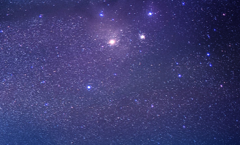 无码少妇高潮喷水A片免费