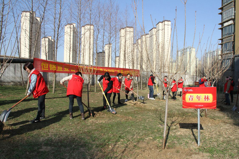 QQ图片20190312191808.jpg QQ图片20190312191808.jpg